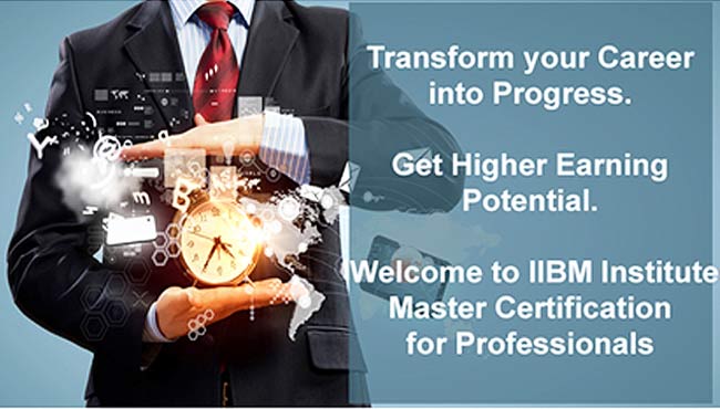 Master Certification from IIBM